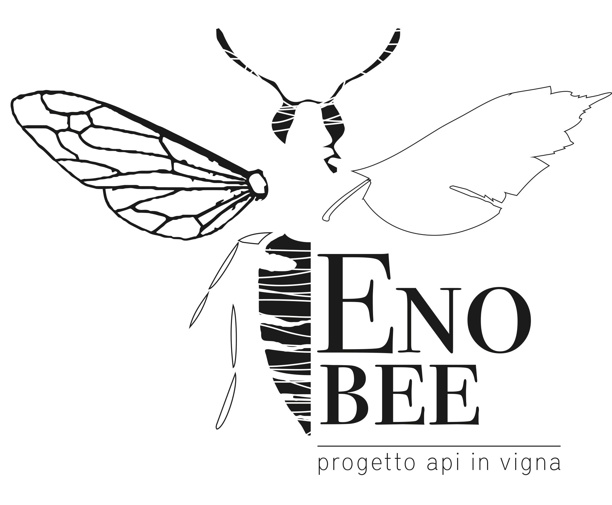 EnoBee