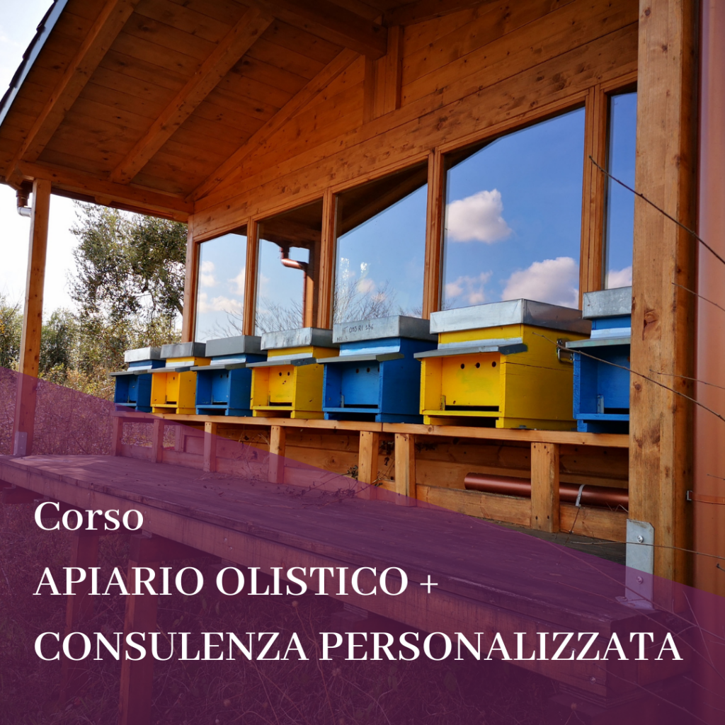 Corso APIARIO OLISTICO