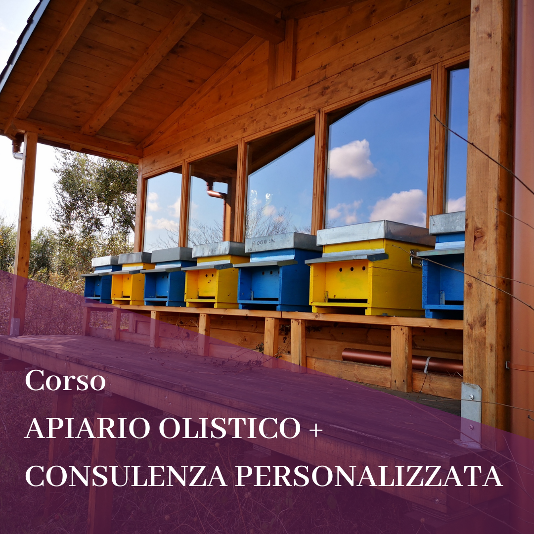 Corso APIARIO OLISTICO Corso APIARIO OLISTICO