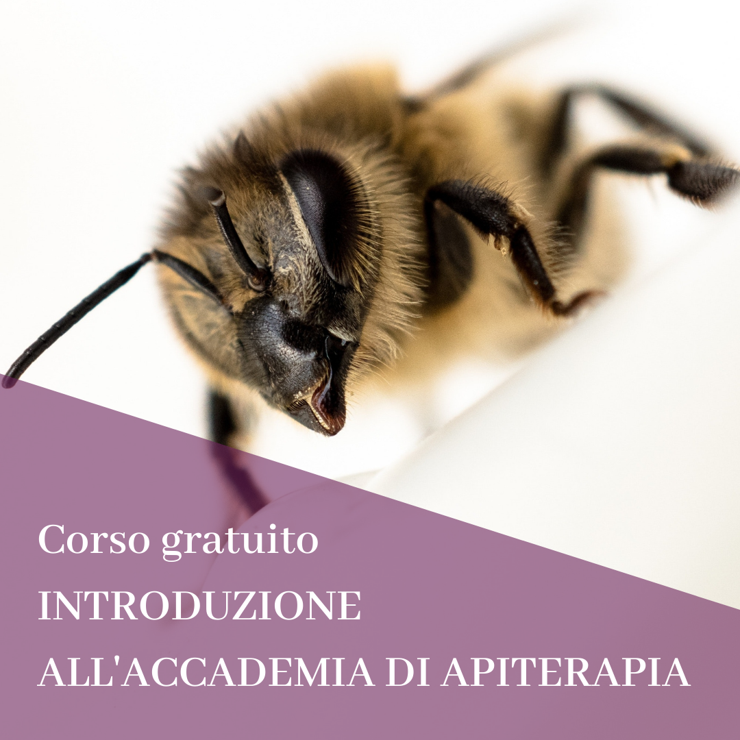 Corso gratuito di introduzione all'apiterapia