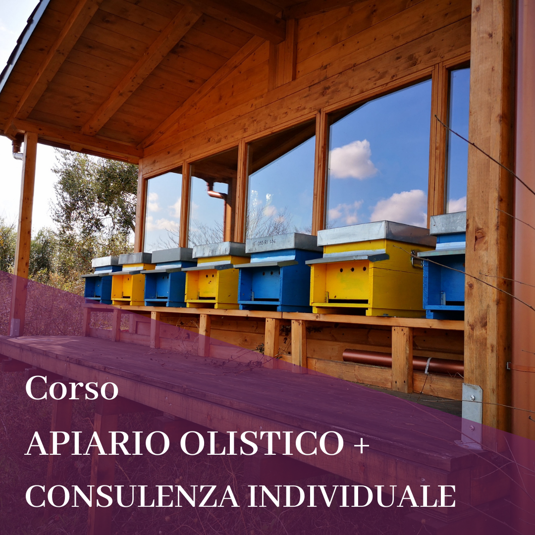 Corso APIARIO OLISTICO