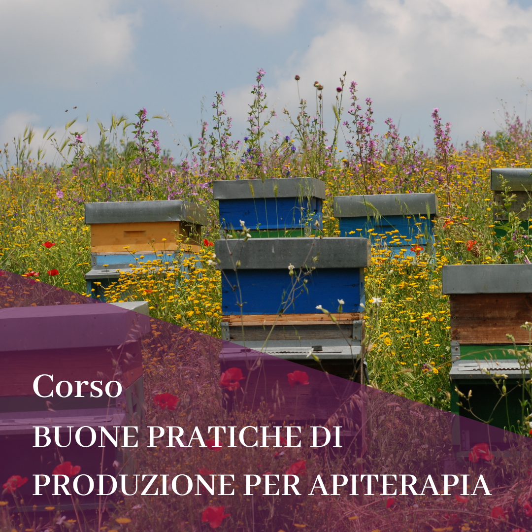 BUONE PRATICHE Corso APIARIO OLISTICO