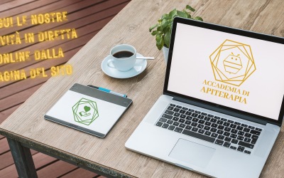 E’ FACILE SEGUIRE WEBINAR, SEMINARI E CONVEGNI ONLINE!