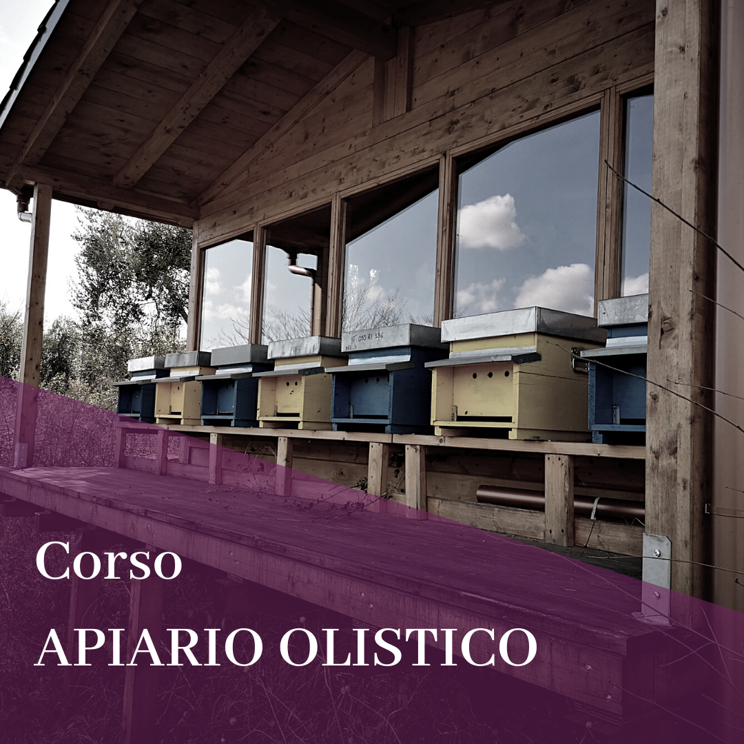 Corso SICUREZZA in APIARIO