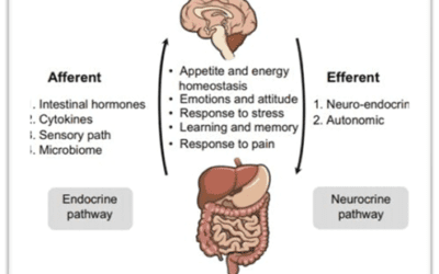 Prodotti apistici e psico-neuro-endocrino-immunologia