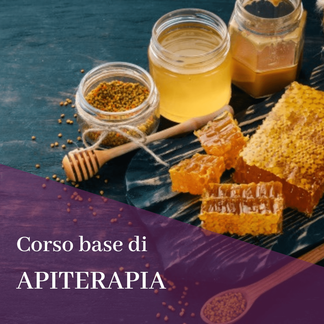 Corso BUONE TECNICHE DI PRODUZIONE PER APITERAPIA