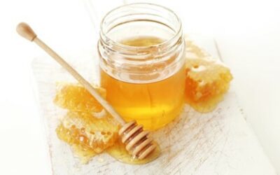 Il miele a supporto della dermatologia e della gastroenterologia veterinaria: alcuni casi clinici