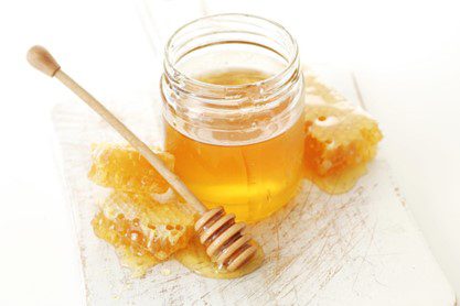 Il miele a supporto della dermatologia e della gastroenterologia veterinaria: alcuni casi clinici